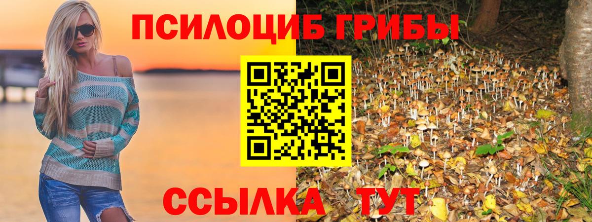 Галлюциногенные грибы прущие грибы Советская Гавань
