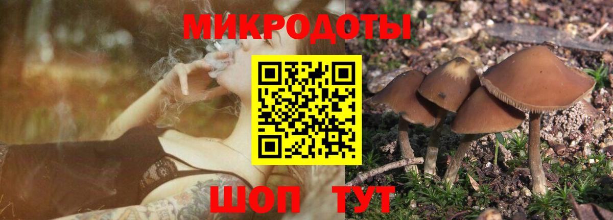 Советская Гавань  Псилоцибиновые грибы Cubensis  Псилоцибиновые грибы мухоморы  Вход с VPN 